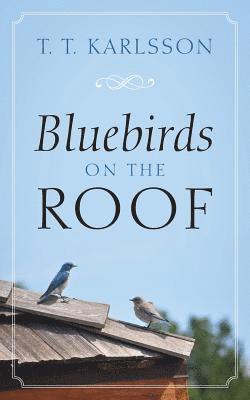 Bluebirds on the Roof 1