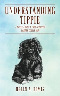 bokomslag Understanding Tippie
