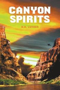 bokomslag Canyon Spirits