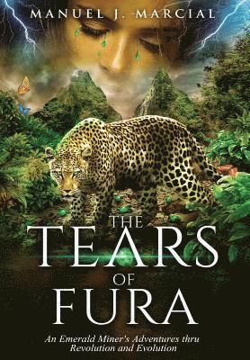 bokomslag The Tears of Fura