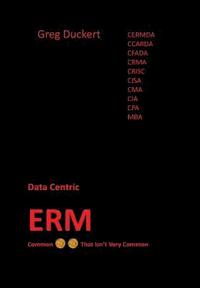 bokomslag Data-Centric ERM