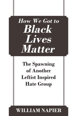 bokomslag How We Got to Black Lives Matter