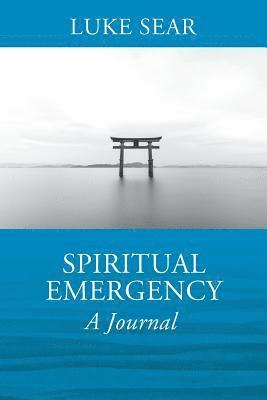 bokomslag Spiritual Emergency