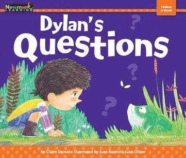 bokomslag Dylan's Questions