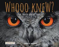 bokomslag Whooo Knew? the Truth about Owls