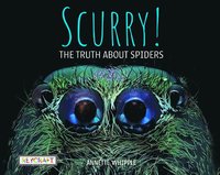 bokomslag Scurry!: The Truth about Spiders