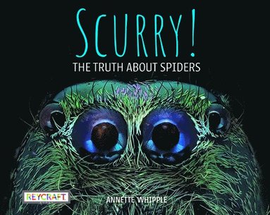 bokomslag Scurry: The Truth about Spiders