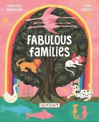 bokomslag Fabulous Families