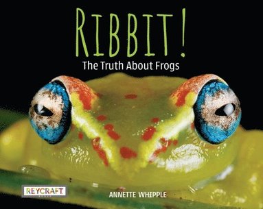 bokomslag Ribbit! the Truth about Frogs