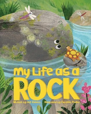 Jeff Zwiers - My Life as a Rock, Inbunden