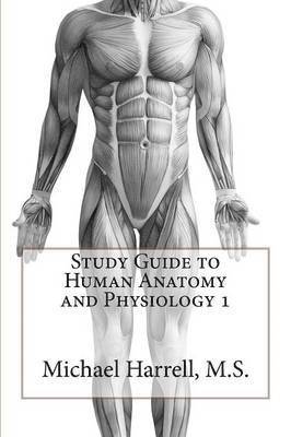 bokomslag Study Guide to Human Anatomy and Physiology 1