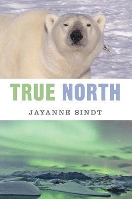 True North 1