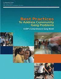 Best Practices To Address Community Gang Problems: OJJDP's Comprehensive Gang Model (Second Edition)