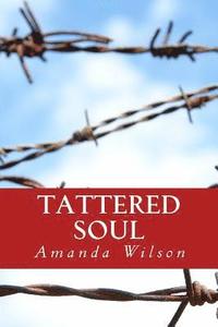 bokomslag Tattered Soul