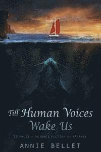 bokomslag Till Human Voices Wake Us