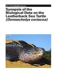 bokomslag Synopsis of the Biological Data on the Leatherback Sea Turtle (Dermochelys Coriacea)