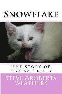 bokomslag Snowflake: the story of one bad kitty