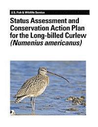 bokomslag Status Assessment and Conservation Action Plan for the Long-billed Curlew (Numenius americanus)