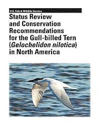 bokomslag Status Review and Conservation Recommendations for the Gull-billed Tern (Gelochelidon nilotica) in North America