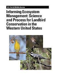 bokomslag Informing Ecosystem Management: Science and Process for Landbird Conservation in the Western United States