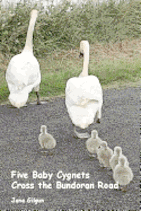 Five Baby Cygnets Cross the Bundoran Road