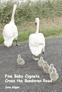 Five Baby Cygnets Cross the Bundoran Road 1