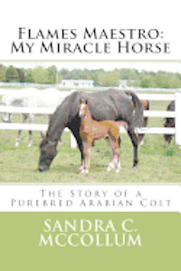 bokomslag Flames Maestro: My Miracle Horse: The Story of a Purebred Arabian Colt