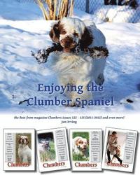bokomslag Enjoying the Clumber Spaniel: the Best from magazine Clumbers issues 122 - 125 (2011-2012) and even more!