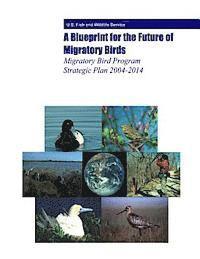 bokomslag A Blueprint for the Future of Migratory Birds: Migratory Bird Program Strategic Plan 2004-2014