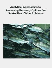 Analytical Approaches to Assessing Recovery Options for Snake River Chinook Salmon 1