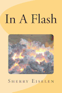 bokomslag In A Flash