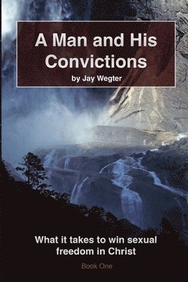 bokomslag A Man and His Convictions: What it takes to win sexual freedom in Christ