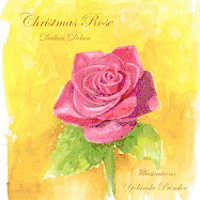 Christmas Rose 1