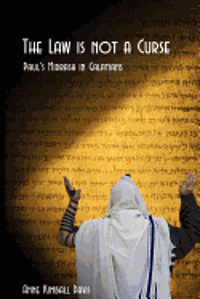 bokomslag The Law is not a Curse: Paul's Midrash in Galations