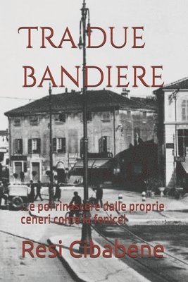 Resi T. Cibabene - Tra due bandiere: ...e poi rinascere dalle proprie ceneri come la fenice!, Häftad