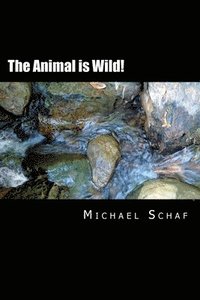 bokomslag The Animal is Wild!: A Strange Theory of Light and Other Clear Matters