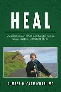 bokomslag Heal: A Psychiatrist's Inspiring Story of What it Takes to Recover from Chronic Pain, Depression, and Addiction...and What S