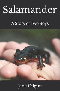 bokomslag Salamander: A Story of Two Boys