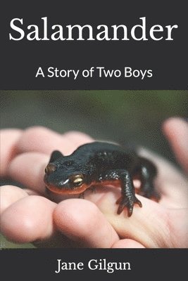 Salamander: A Story of Two Boys 1