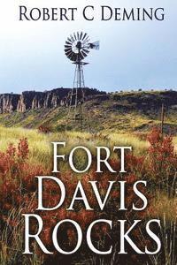bokomslag Fort Davis Rocks