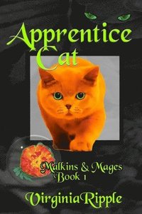 bokomslag Apprentice Cat