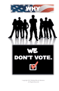 bokomslag Why We Don't Vote
