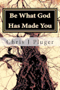 bokomslag Be What God Has Made You: Living Your Identity In Christ