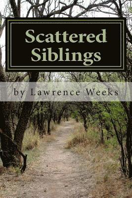 Scattered Siblings: An Adoptee's Search for His Biological Roots 1