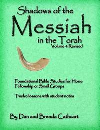 bokomslag Shadows of the Messiah in the Torah Vol. 4