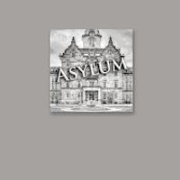 bokomslag Asylum