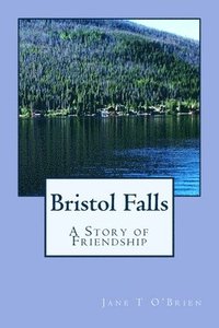 bokomslag Bristol Falls