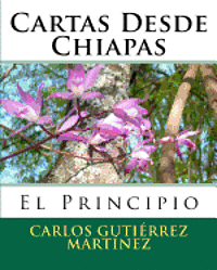 bokomslag Cartas Desde Chiapas: El Principio