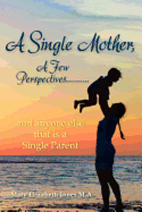 Mary Elizabeth Jones M. a. - A Single Mother, A Few Perspectives......And anyone else that is a Single Parent, Häftad