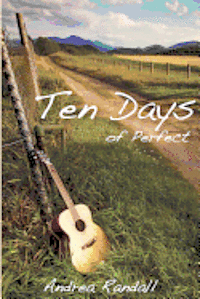 bokomslag Ten Days of Perfect